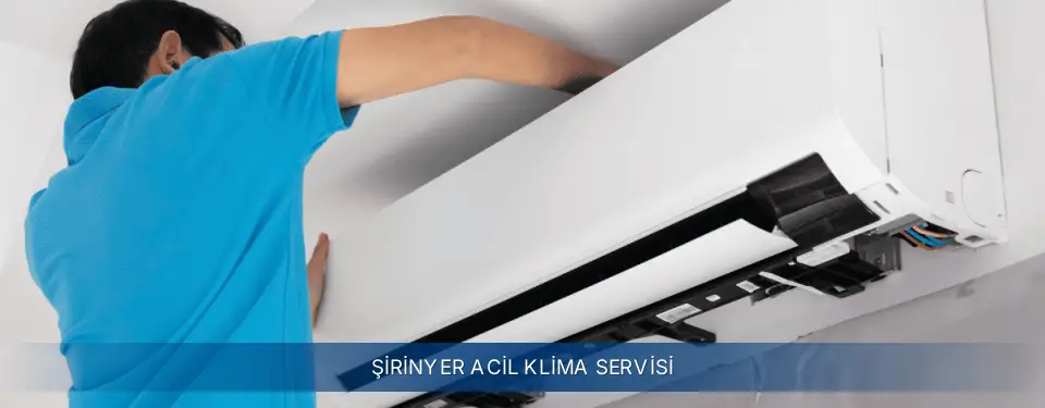 Şirinyer İlçemi Electrolux Acil Klima Servisi