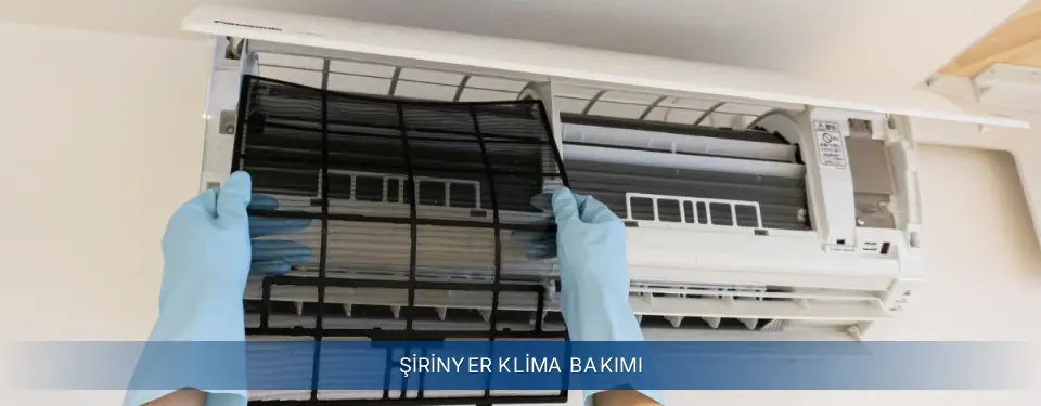 Şirinyer İlçemi Electrolux Klima Bakımı